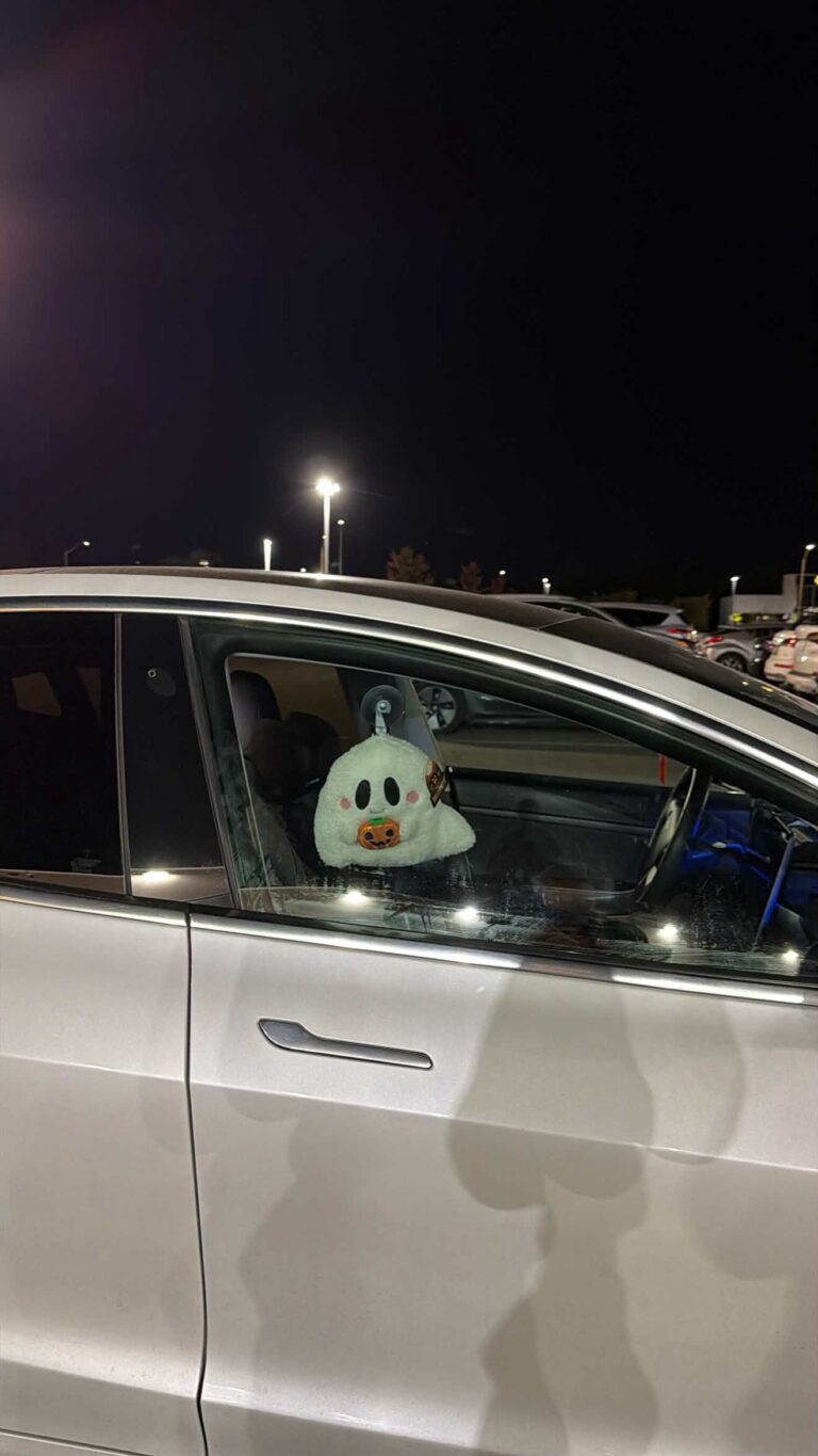 My 2020 Model 3 Got the Halloween Update. I Got Nothing.